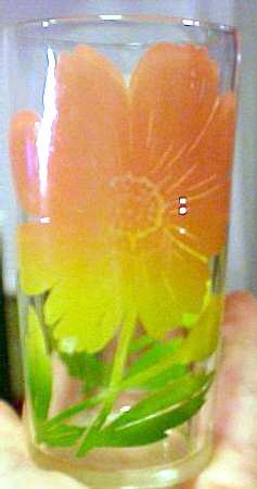 Cosmos by Federal Glass 