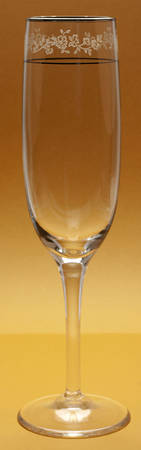 Rondelle (Etched Bowl, Platinum Trim) Fluted Champagne