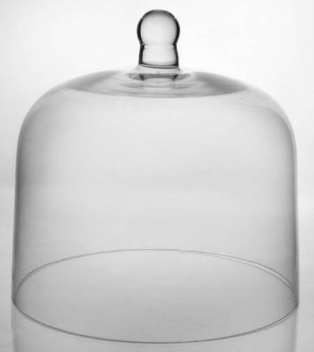 Chesterfield Glass Dome for 8" Cake Stand
