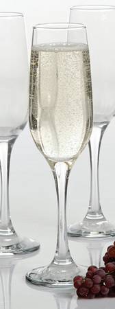 Perceptions Fluted Champagne