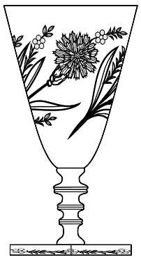 Carnation by Hawkes