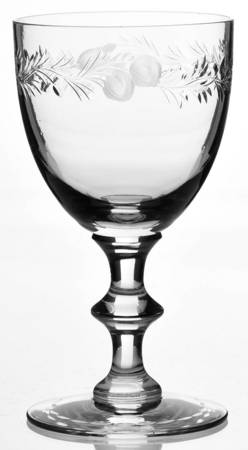 Fruits Border Wine Glass