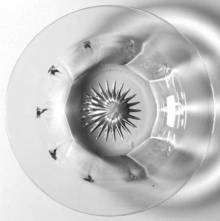 Flat Panel Clear Grapefruit Plate