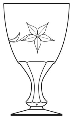 Starflower