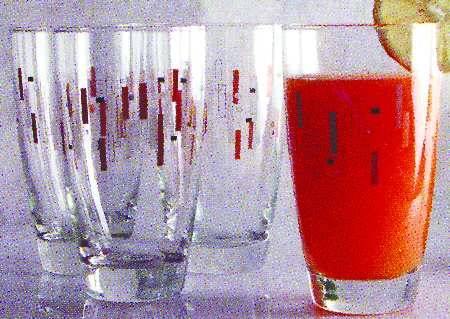 Metro Chic Highball Glass