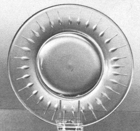 Nobility Clear Luncheon Plate