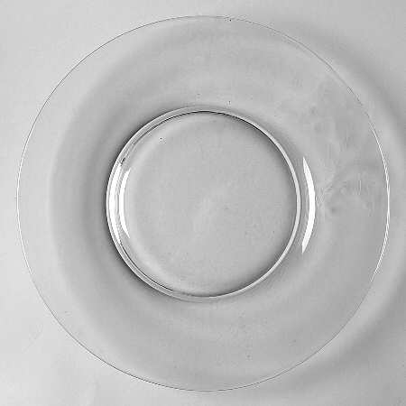 Winter Berry Luncheon Plate