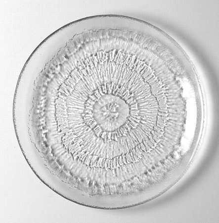 Solaris Luncheon Plate by Iittala