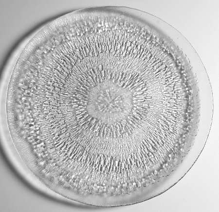 Solaris 13" Torte Plate