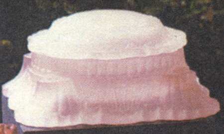 Animals & Figurines #144 Shell Puff Box with Lid