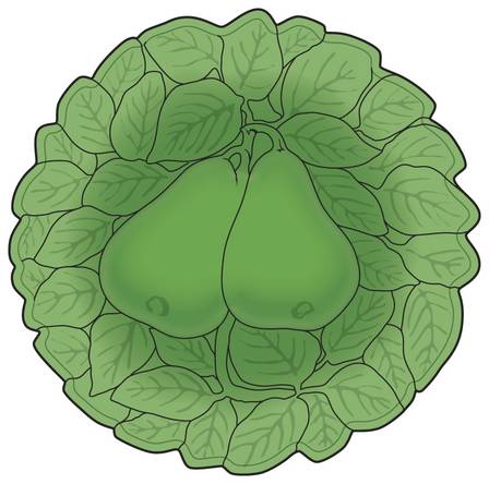 Avocado Green (Dark)