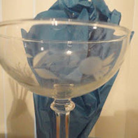 JAV8 Champagne/Tall Sherbet