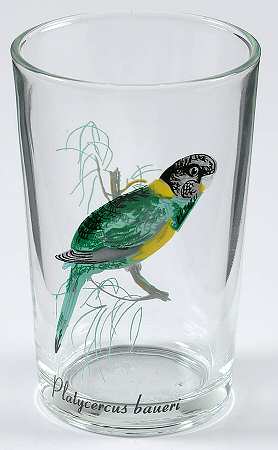 Exotic Bird 7 Oz Flat Tumbler