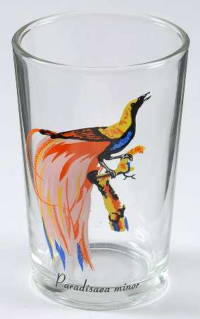 Exotic Bird 7 Oz Flat Tumbler