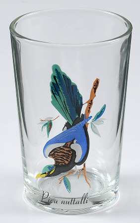Exotic Bird 7 Oz Flat Tumbler