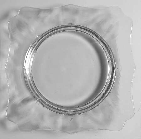 Rembrandt Square Plate