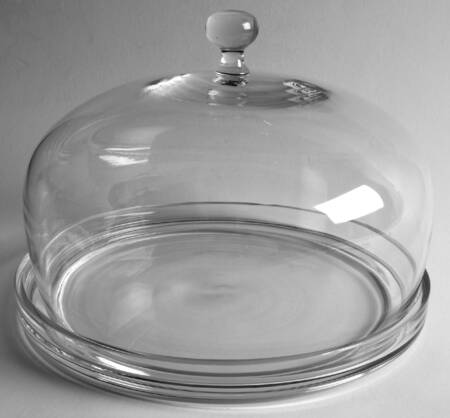 Michelangelo Dome for Cake Plate