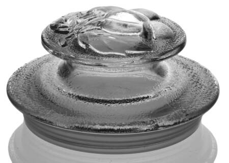 Orchard Fruit Clear Lid for Medium Canister