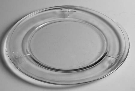Dragonfly Dinner Plate