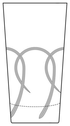 LSZ2