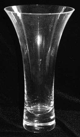 Crystal Gallery Collection 9" Flower Vase