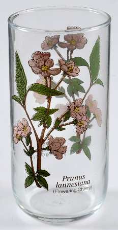 LRS198 by Libbey Glass Company