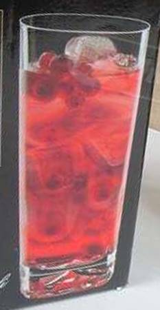 On the Rocks Highball Glass
