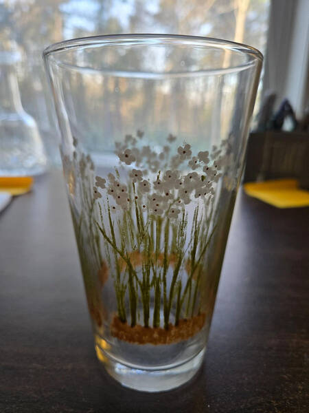 LRS357 by Libbey Glass Company