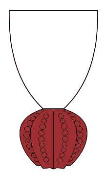 Royal Crown Ruby by Mikasa
