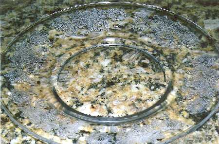 Picardy-Richelieu (Stem 7646) 7" Salad Plate