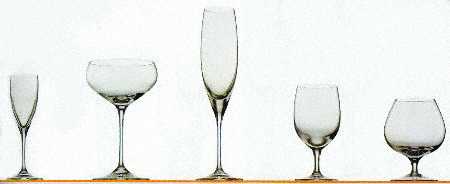 Medici Fluted Champagne