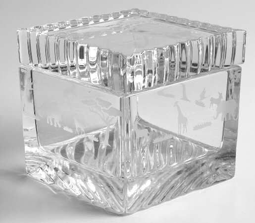 Safari (Giftware) Square Box & Lid