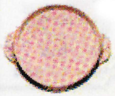 Jennifer Miniatures Yellow Handled Tray
