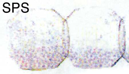 Jennifer Miniatures Yellow Square Salad Plate