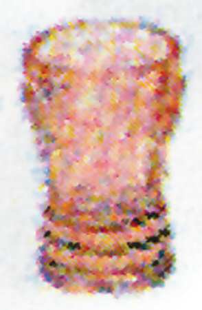 Jennifer Miniatures Yellow Flat Tumbler