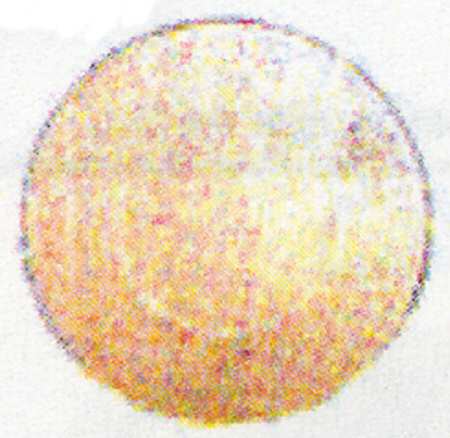 Jennifer Miniatures Yellow Dinner Plate