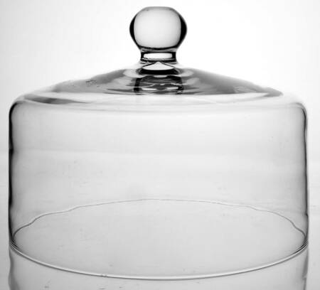 Crystal 10" Cake Dome