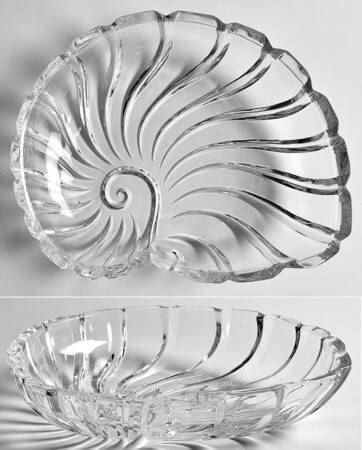 Nautilus 9" Shell Shape Bowl