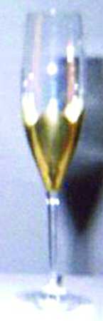 Milliennium Fluted Champagne