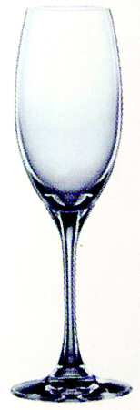 Nova Fluted Champagne