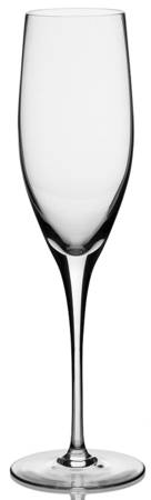 Illusion Clear Fluted Champagne