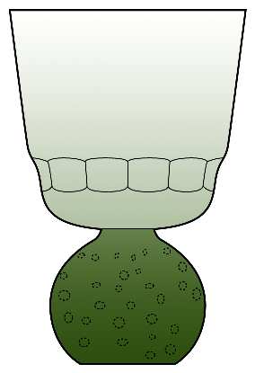 Raindrop Panel Green