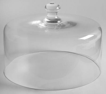 Timeless Beauty Glass Dome for 10" Cake Stand