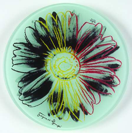 Daisies by Rosenthal