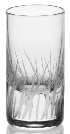 Riverside Vodka Glass