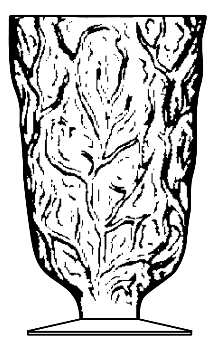 Driftwood Clear