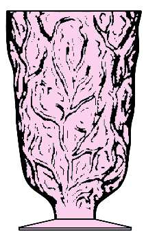 Driftwood Pink
