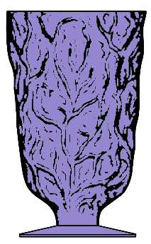 Driftwood Plum