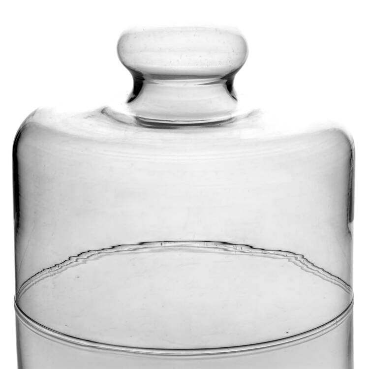 Moon and Star Clear Lid for Cheese Dish