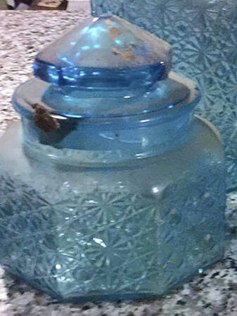 Daisy and Button Blue Small Canister & Lid